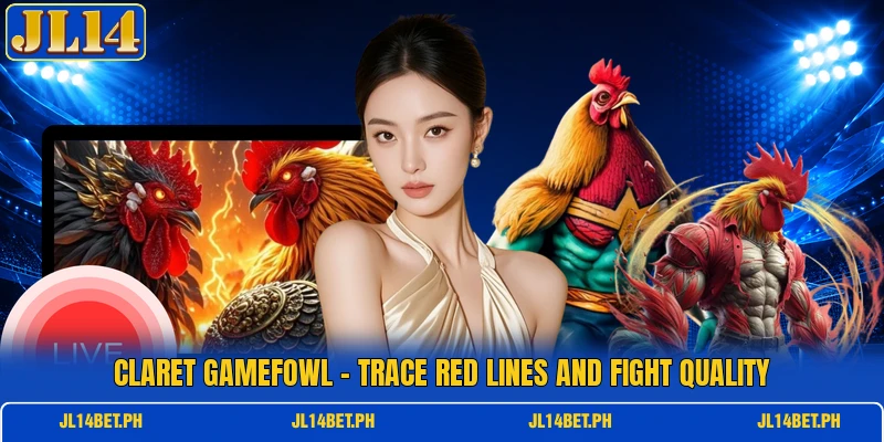 Claret Gamefowl - Trace Red Lines And Fight Quality