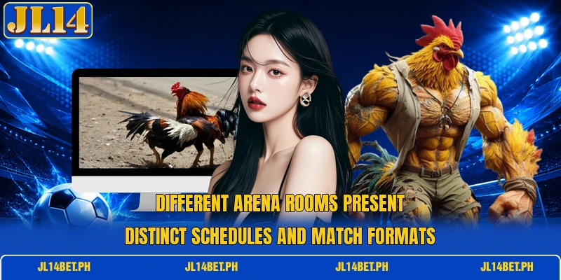 Different arena rooms present distinct schedules and match formats Different arena rooms present distinct schedules and match formats