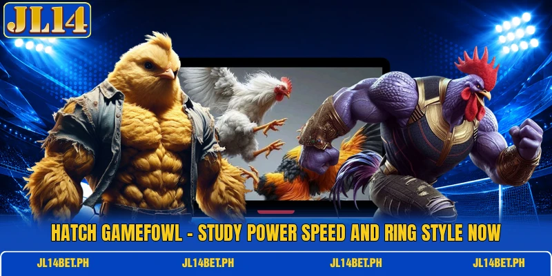Hatch Gamefowl - Study Power Speed And Ring Style Now