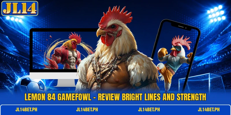 Lemon 84 Gamefowl - Review Bright Lines And Strength